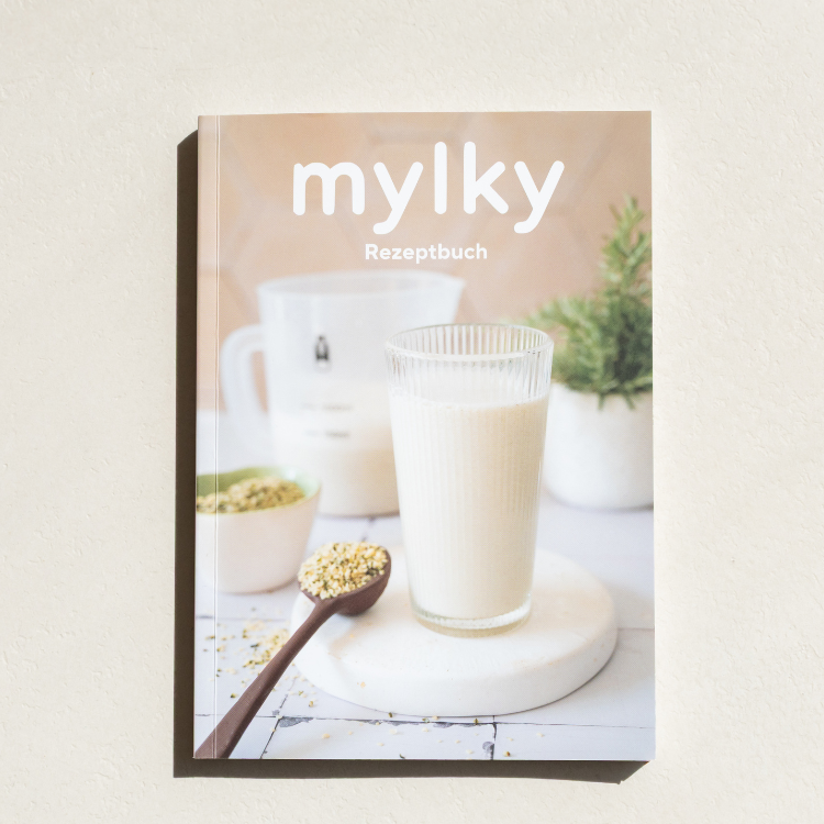 Dutch Recipe Book